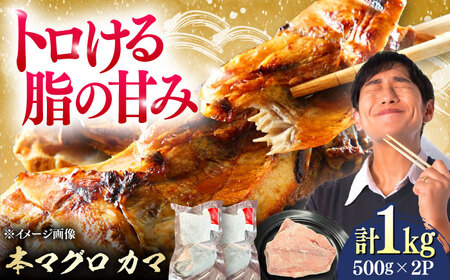 対馬産 本マグロ カマ 1kg ≪対馬市≫【桐谷商店】 トロの華 対馬 新鮮 マグロ かま 鮪[WAQ095]
