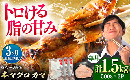 【全3回定期便】対馬産 本マグロ カマ 1.5kg ≪対馬市≫【桐谷商店】 トロの華 対馬 新鮮 マグロ かま 鮪[WAQ100]