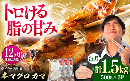 【全12回定期便】対馬産 本マグロ カマ 1.5kg ≪対馬市≫【桐谷商店】 トロの華 対馬 新鮮 マグロ かま 鮪[WAQ102]