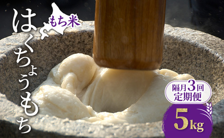 隔月3回 定期便 米 北海道 もち米 はくちょうもち 5kg (ホクレン米) 獲得 白米 お取り寄せ ごはん 道産米 ブランド米 5キロ お米 ご飯 北海道米 送料無料 芦別市 芦別応援米