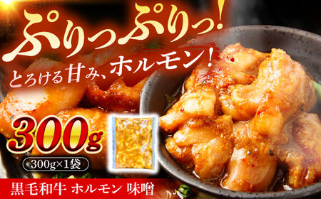 黒毛和牛ホルモン 味噌 300g （300g×1袋）[AZCW052] ホルモン