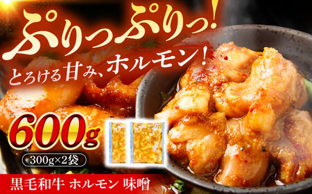 黒毛和牛ホルモン 味噌 600g （300g×2袋） [AZCW053] 黒毛和牛