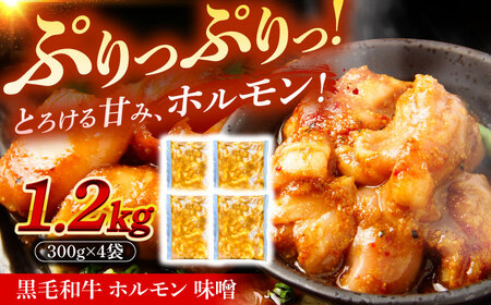 黒毛和牛ホルモン 味噌 1.2kg （300g×4袋）[AZCW055] 和牛