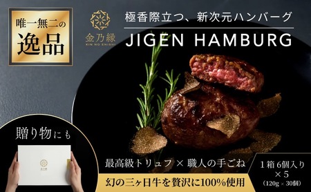 次元ハンバーグ120g×30個【配送不可：離島】 金乃縁 ハンバーグ 冷凍 国産 三ヶ日牛 牛肉 トリュフ風味 ギフト 冷凍食品 惣菜 静岡 浜松市