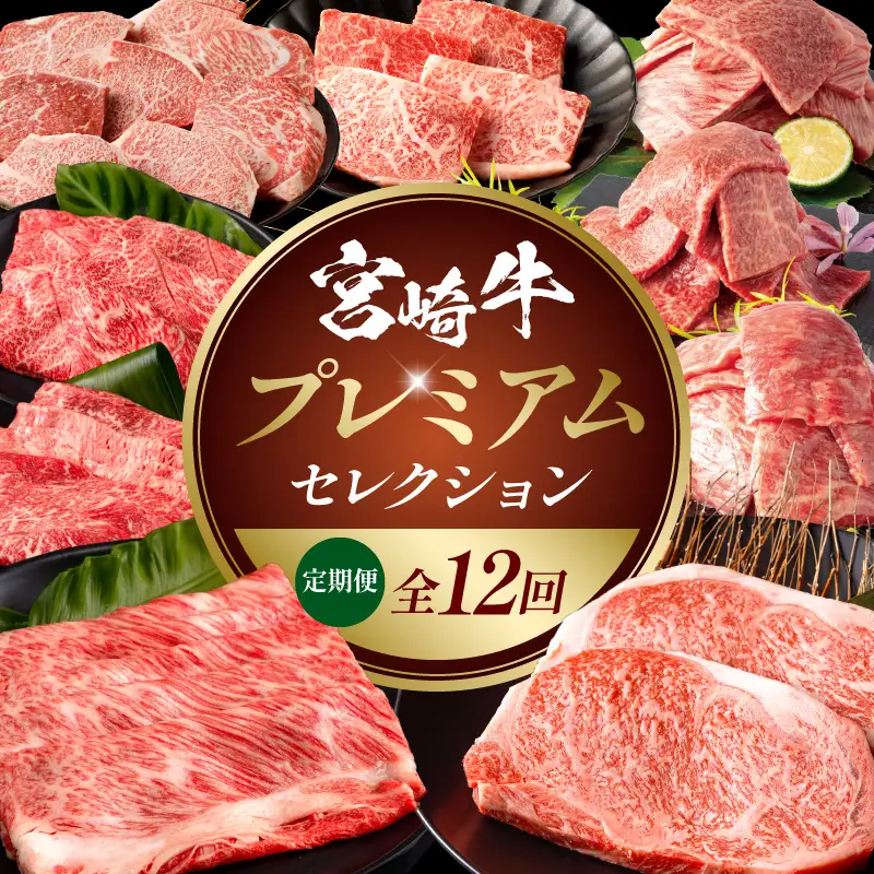 【全12回定期便】宮崎牛プレミアムセレクション 宮崎牛 ロース ステーキ モモ肉 ウデ スライス ミスジ 希少部位 バラ 焼肉 焼き肉 定期便 12回 ブランド牛 国産