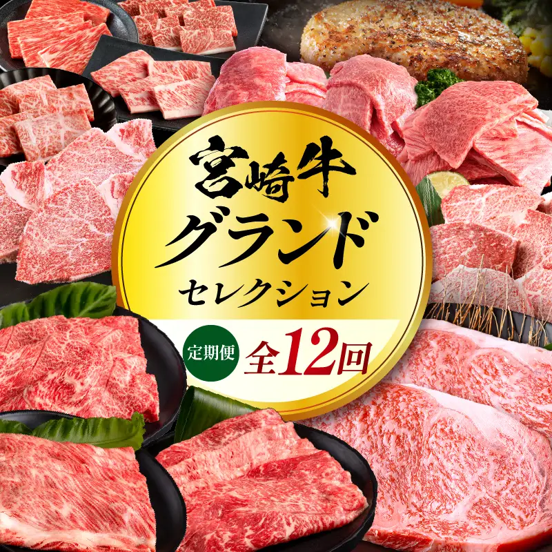 【全12回定期便】宮崎牛グランドセレクション 三角バラ 希少部位 焼き肉 焼肉 ペッパーハンバーグ ハンバーグ モモ肉 ステーキ ウデ スライス ロース バラ肉 ミスジ ヒレ 定期便 12回 国産 宮崎牛