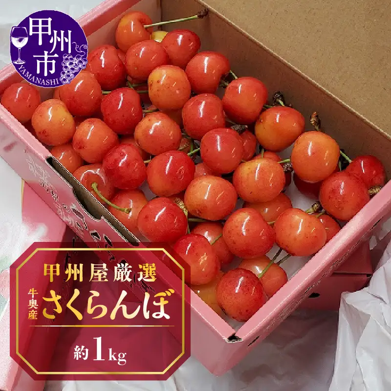 甲州屋厳選 牛奥産さくらんぼ 約1kg【2026年発送】D-118