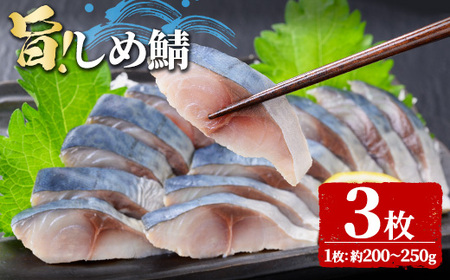 ＜数量限定＞ 旨 しめ鯖 (3枚・1枚約200～250g) 国産 しめさば 冷凍 浅漬け 調理済み おかず おつまみ 魚介 【man365-B】【いえもんや】
