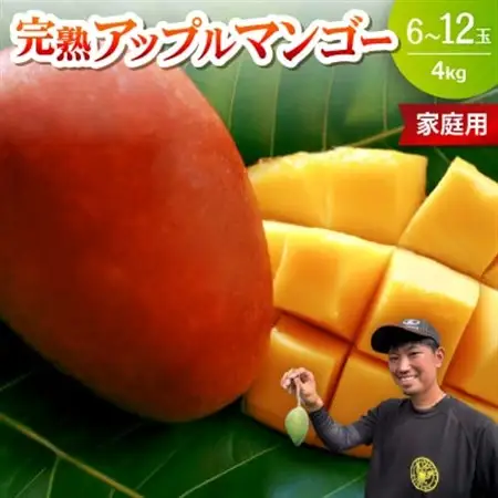 【2026年6月下旬から順次発送・家庭用】みなとばる農園の完熟アップルマンゴー4kg(6～12玉)【配送不可地域：離島】【1699998】