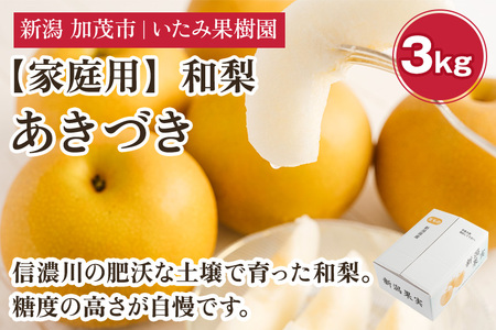 【2026年先行予約】【家庭用】新潟県産 あきづき梨 3kg（7～11玉）《9月上旬以降発送》 和梨 なし ナシ 果物 フルーツ 新潟県産 加茂市 いたみ果樹園 