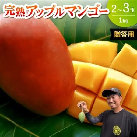 【2026年6月下旬から順次発送・贈答用】みなとばる農園の完熟アップルマンゴー1kg(2～3玉)【配送不可地域：離島】【1700015】