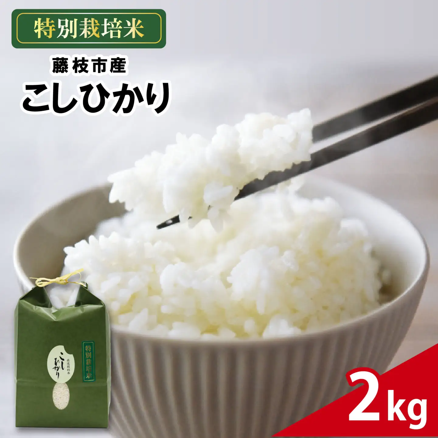 米 こしひかり 2kg 農家直送 特別栽培米 お米 精米 静岡県 藤枝市