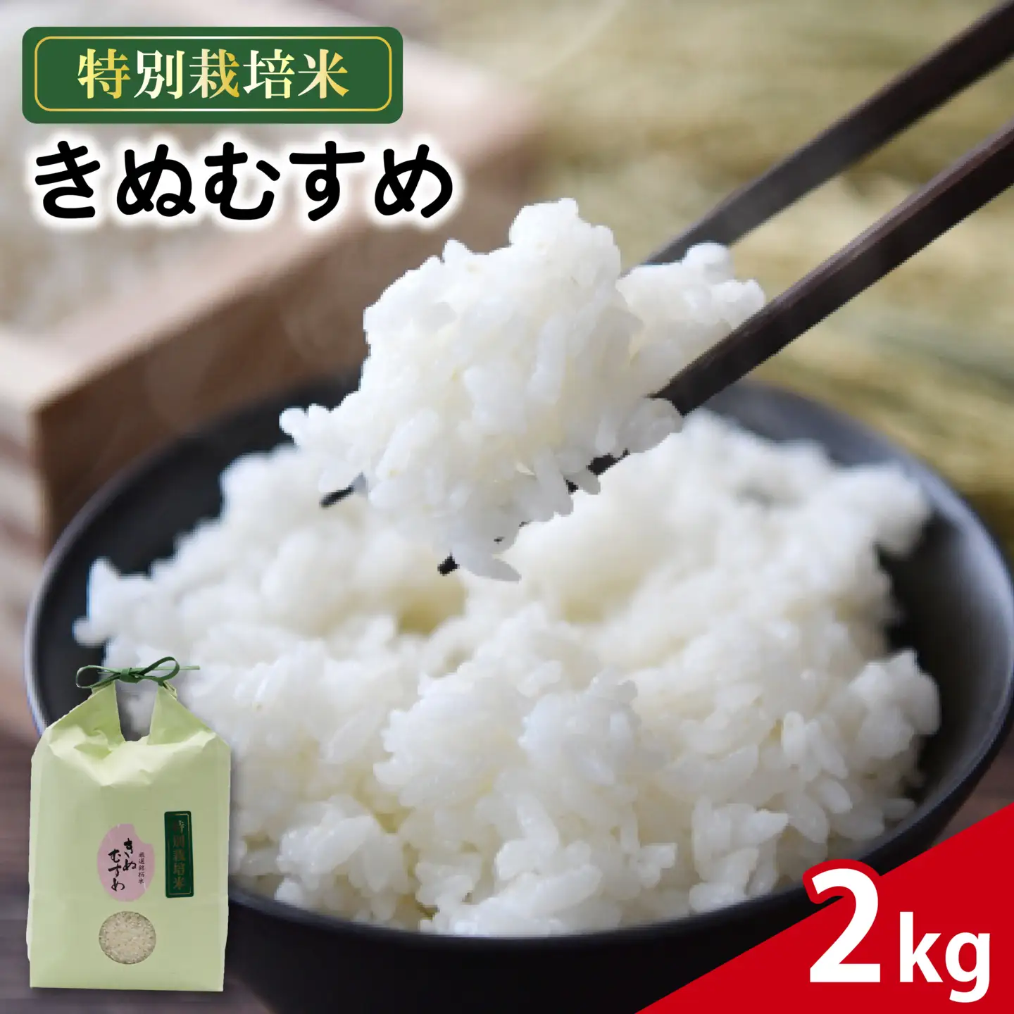 米 きぬむすめ 2kg 農家直送 特別栽培米 お米 精米 静岡県 藤枝市