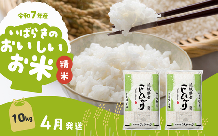【令和7年産】精米 コシヒカリ 10kg 4月発送 白米 10kg(5kg×2袋)