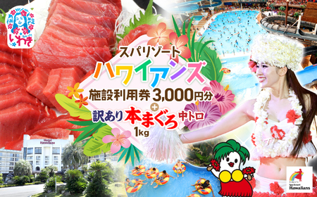 ハワイアンズ施設利用券3,000円分本マグロ訳あり中トロ1kg まぐろ