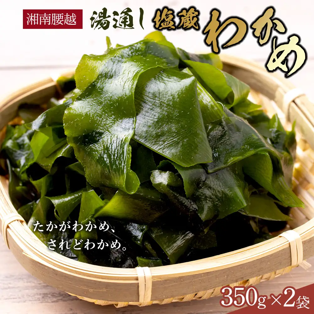 【湘南腰越名産！】湯通し「塩蔵わかめ」350g×2袋