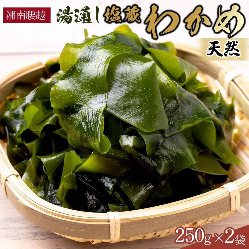 【湘南腰越名産！】湯通し「天然塩蔵わかめ」250g×2袋