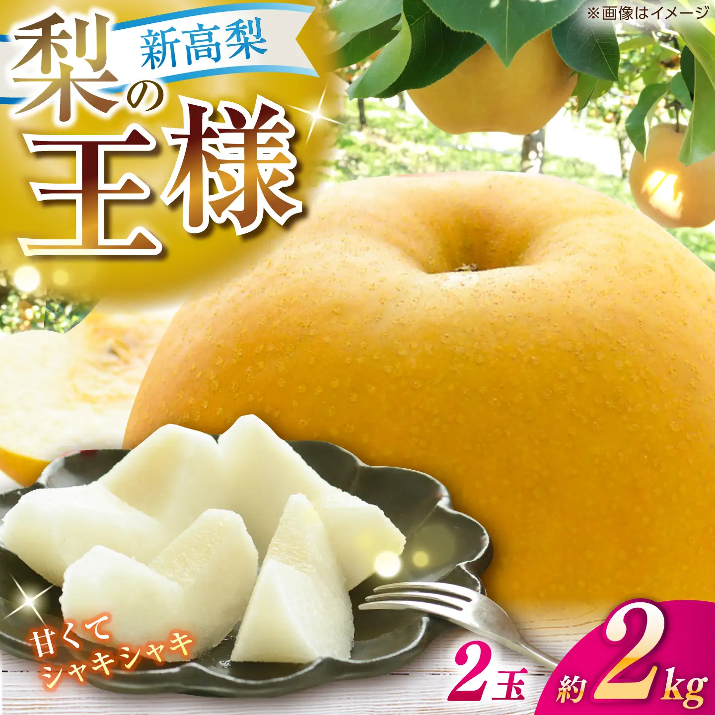 【先行予約】 新高梨 秀 約2kg（2玉） 〈2026年9月20日～2026年10月末発送〉 【川渕果樹園】[ATHX005]
