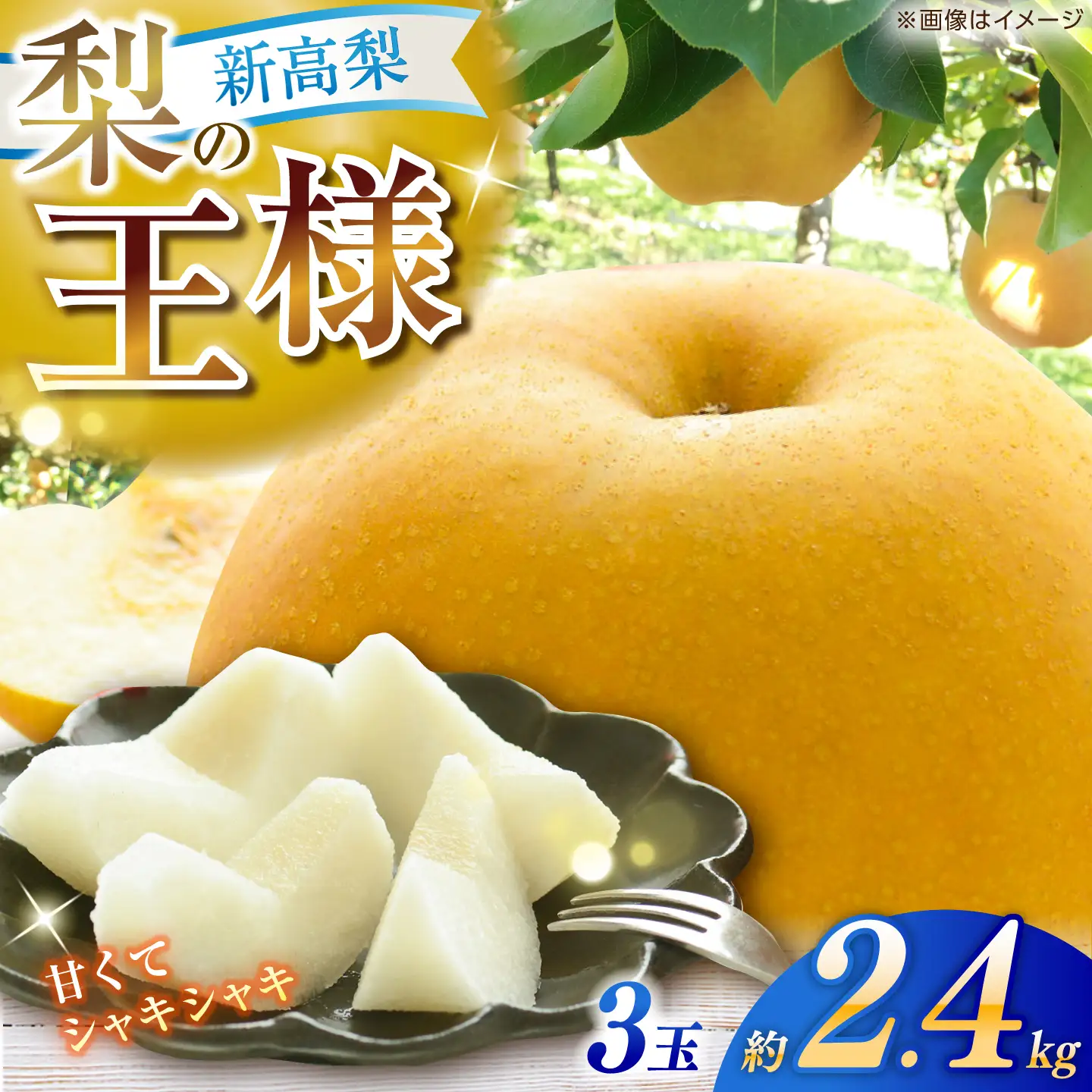 【先行予約】 新高梨 秀 約2.4kg（3玉） 〈2026年9月20日～2026年10月末発送〉 【川渕果樹園】[ATHX006]