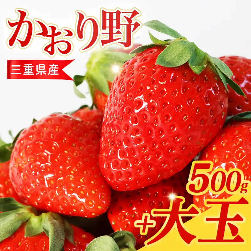 【2月中旬以降発送】 大粒いちご 250g×2P 大粒6～8個 DXパック かおり野 先行予約