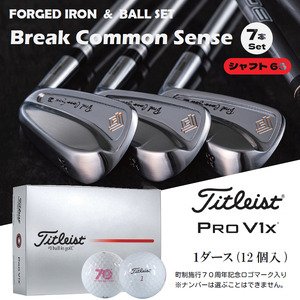 【ウルトラ軽量アイアン】Fujimoto_BCS iron(7set) 65 ＆ゴルフボールV1X（1ダース）　　1120BE02S.／軟鉄鍛造 フォージド アイアン 国産 ゴルフクラブ タイトリスト ゴルフボール タイトリスト 藤本技工 地クラブ  