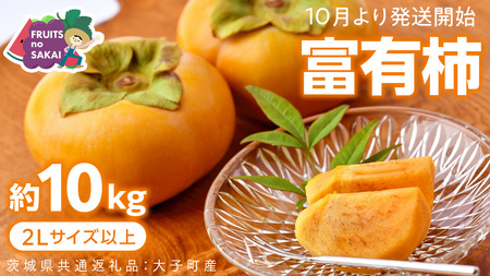 富有柿 2L以上 約10kg【2026年10月より発送開始】（茨城県共通返礼品 [柿]：大子町産）