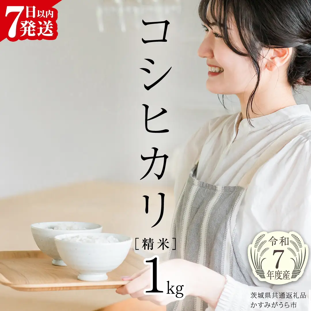 【 令和7年産 】 コシヒカリ 精米 1kg (茨城県共通返礼品 かすみがうら市) スピード発送 早い 米 ごはん もっちり 甘い コメ お米 白米 銘柄米 5000 [EX029sa]
