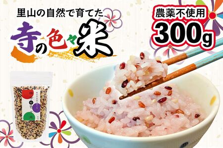 [農薬不使用] 里山の自然で育てた「禅寺の色々米」300g [0691]