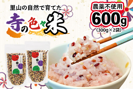 [農薬不使用] 里山の自然で育てた「禅寺の色々米」計600g (300g×2袋) [0692]