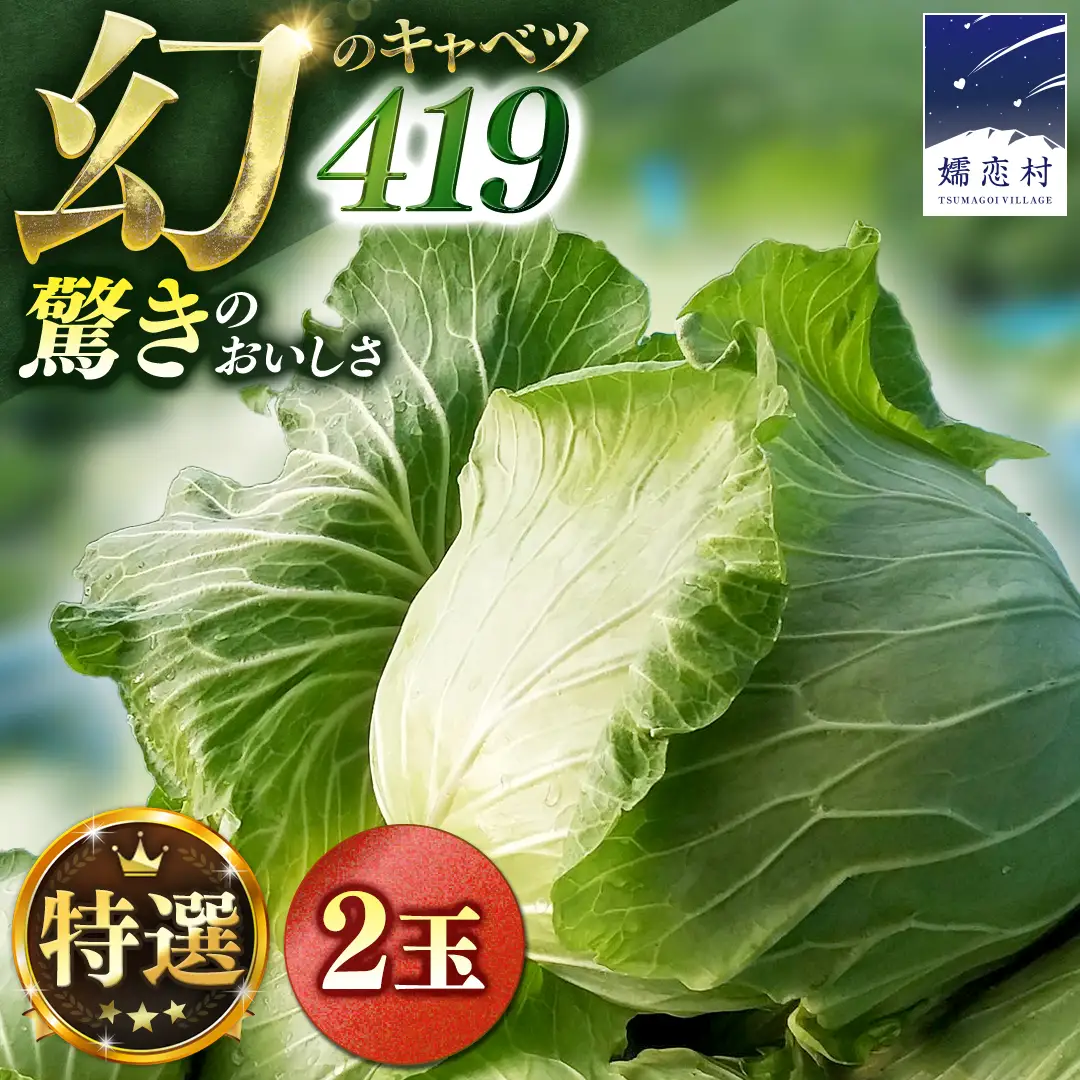 ＜レビューキャンペーン開催中＞＜7月中旬発送開始＞ 【 特選 】 まぼろしの419キャベツ 2玉 [AL020tu]