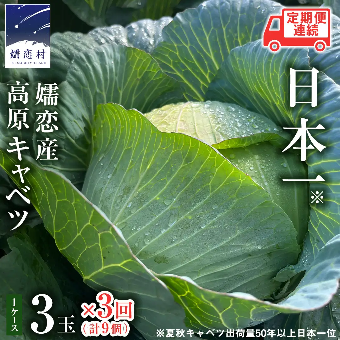 ＜レビューキャンペーン開催中＞【7月中旬以降発送開始】 【 定期便 】 嬬恋キャベツ 嬬恋産 高原キャベツ3玉1ケース 3ヶ月連続 定期便 [AS011tu]
