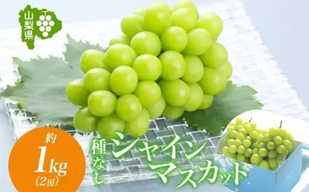 【2026年発送★先行予約】山梨県 笛吹市 シャインマスカット 2房 約1kg 177-6-004-26y