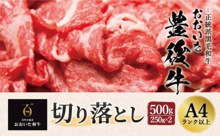 正統派黒毛和牛 おおいた豊後牛 切り落とし 500g 小分け