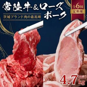 【 茨城ブランド肉の最高峰 】ローズポーク ＆ 常陸牛 贅沢 定期便 ( 全6種 )