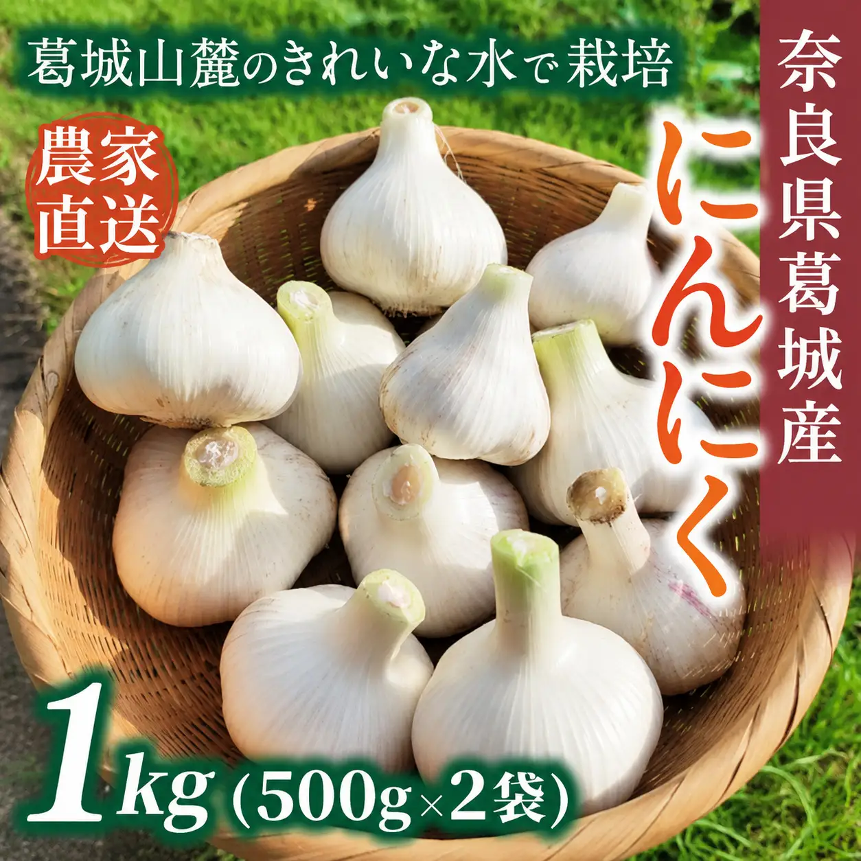 奈良県葛城産 にんにく 約1kg(500g×2袋)  【2026年5月上旬～7月下旬順次発送】 葛城市【smlk064】