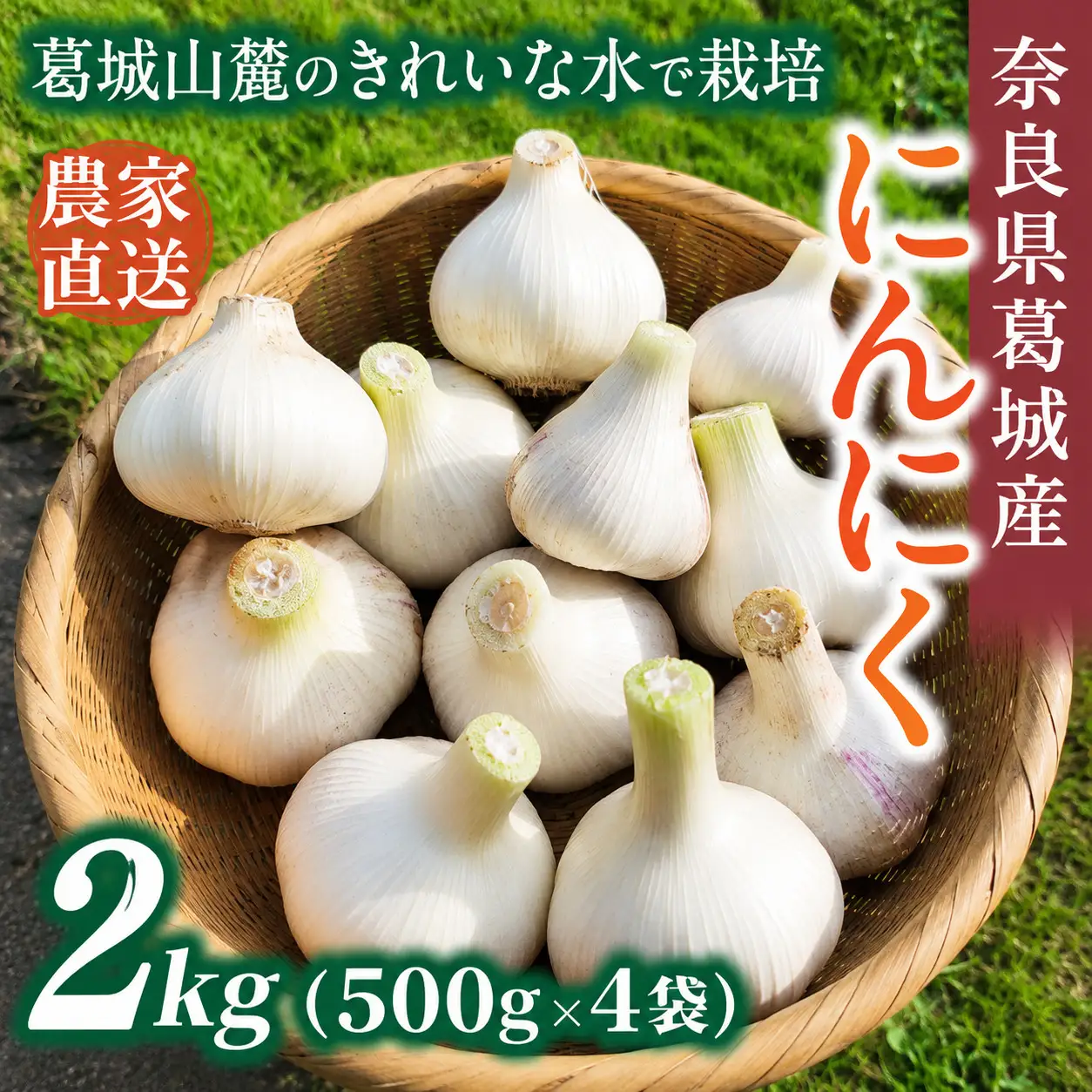 奈良県葛城産 にんにく 約2kg(500g×4袋)  【2026年5月上旬～7月下旬順次発送】 葛城市【smlk065】