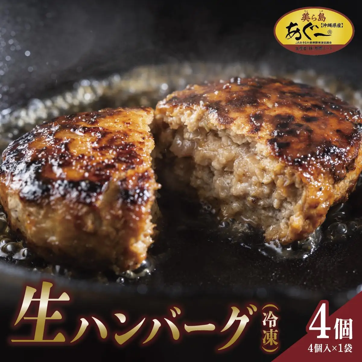 ハンバーグ 120g × 4個（480g）冷凍【美ら島あぐ～】   
