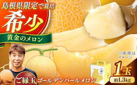 【先行予約】【2026年7月中旬順次発送】メロン 1.3kg 1玉 ご縁玉 ゴールデンパールメロン[ALID010] 