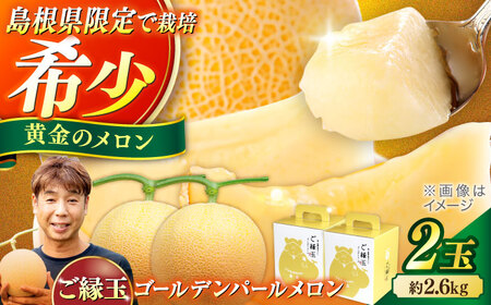 【先行予約】【2026年7月中旬順次発送】ご縁玉 ゴールデンパールメロン1.3kg×2玉 島根県松江市/有限会社安藤農園[ALID011]
