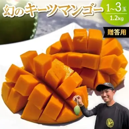【2026年8月下旬から順次発送・贈答用】みなとばる農園の幻のキーツマンゴー1.2kg(1～3玉)【配送不可地域：離島】【1699963】
