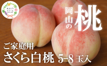しっかりとした果肉「さくら白桃」ご家庭用 5-8玉 (岡山県産)【KF-A025-01】