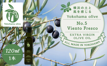横浜オリーブ　No.５ビエントフレスコ　エクストラバージンオリーブオイル120ml ALD0005