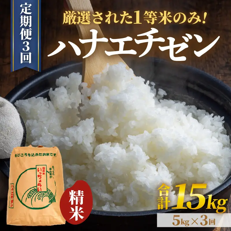 【先行予約】【令和8年産・新米】【一等米】＜定期便3回＞ ハナエチゼン 精米 5kg × 3回（15kg）《発送直前精米！》 ／ 福井県産 ブランド米 ご飯 白米 お米 コメ 新鮮 大賞 受賞 新米 ※2026年9月上旬以降順次発送予定 [aw012-c008]