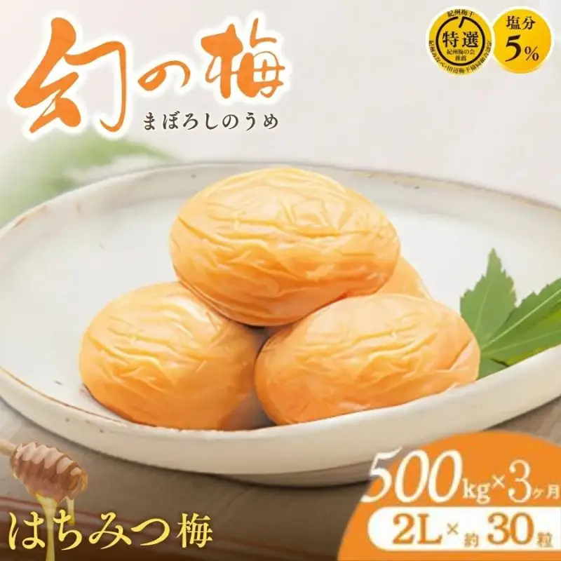 【3ヶ月定期便】 大人気梅干し 幻の梅 500g (粒2L/約30粒) 【はちみつ梅干/塩分5％】 / 梅干し 梅干 紀州南高梅 南高梅 梅 和歌山 田辺 はちみつ 蜂蜜 減塩 5％ 塩分控えめ ご飯のお供 お歳暮 ギフト お祝い お歳暮ギフト【okh028-tk】