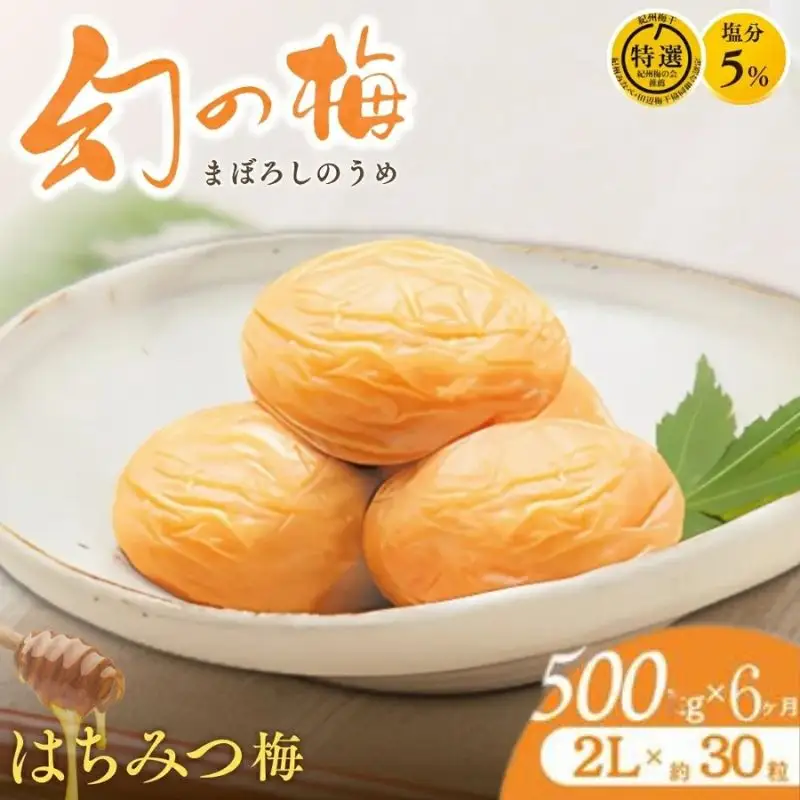【6ヶ月定期便】 大人気梅干し 幻の梅 500g (粒2L/約30粒) 【はちみつ梅干/塩分5％】 / 梅干し 梅干 紀州南高梅 南高梅 梅 和歌山 田辺 はちみつ 蜂蜜 減塩 5％ 塩分控えめ ご飯のお供 お歳暮 ギフト お祝い お歳暮ギフト【okh029-tk】
