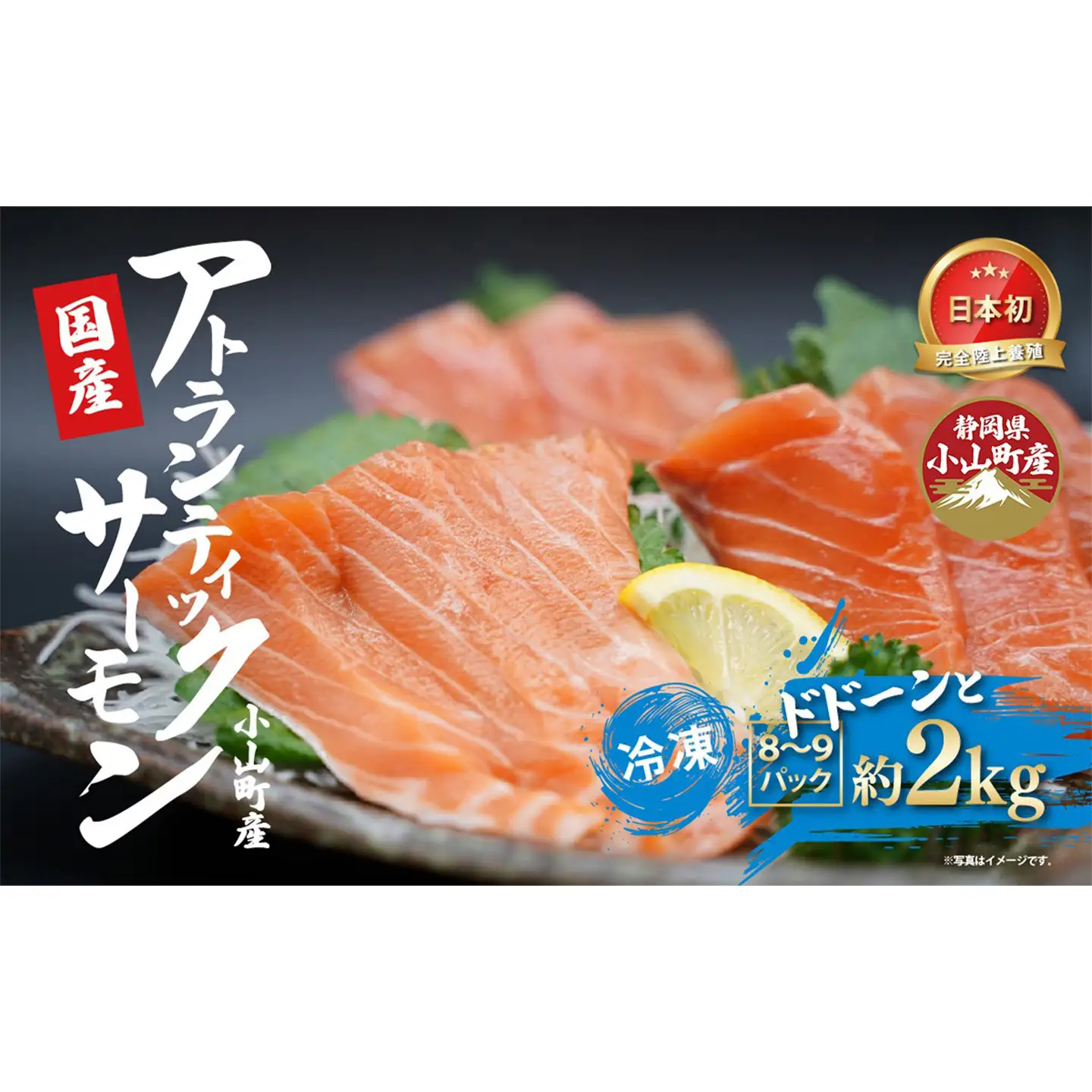 サーモン 冷凍 8～9P 約2kg サーモン