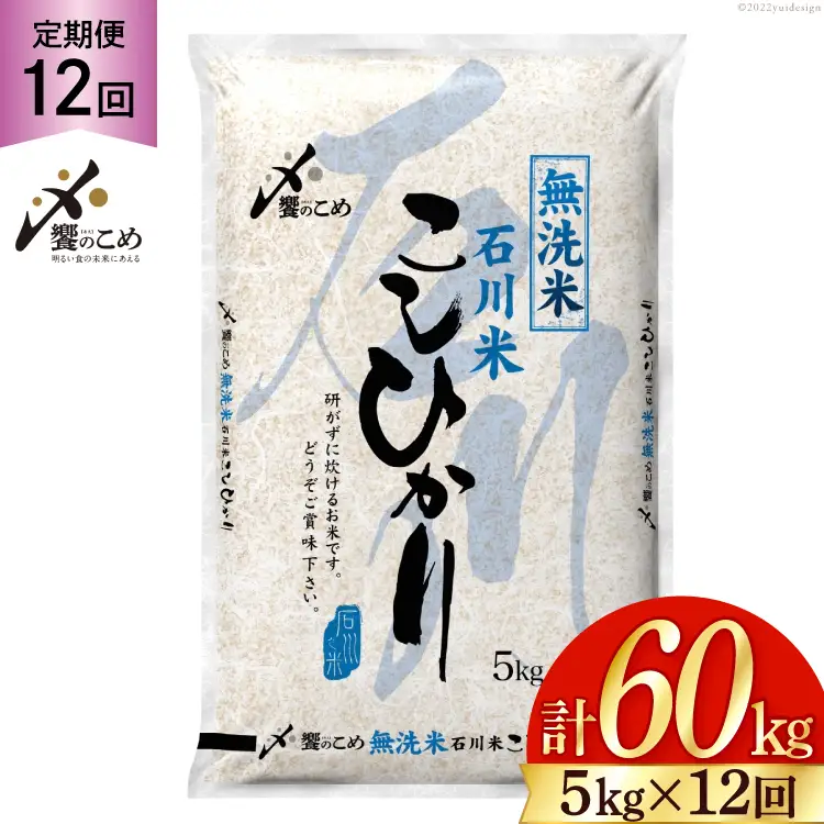 米 無洗米 定期便 石川米 こしひかり 5kg 12回 [38601338]