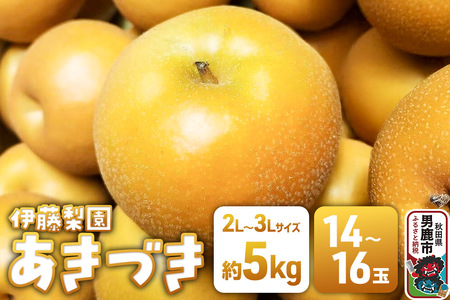 【先行受付】 男鹿梨 あきづき 梨 約5kg 「伊藤梨園」 2L～3L 14玉～16玉 秋田県 男鹿市
