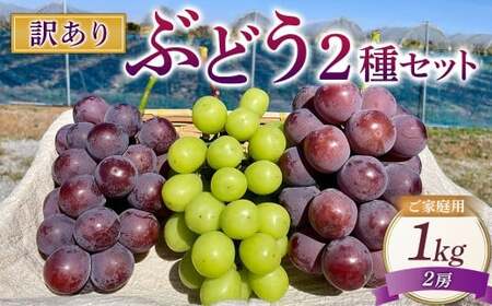 訳ありぶどう2種セット 約1kg 2房【2026年10月上旬から12月下旬頃迄発送予定】 ／ マスカット ピオーネ 葡萄 ブドウ 種無し 種なし
