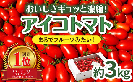 完熟アイコトマト 約3kg / トマト  [SCB052] 
